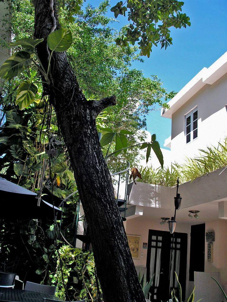Oceana Hostal Playero San Juan Eksteriør bilde